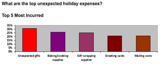 Holiday Expenses