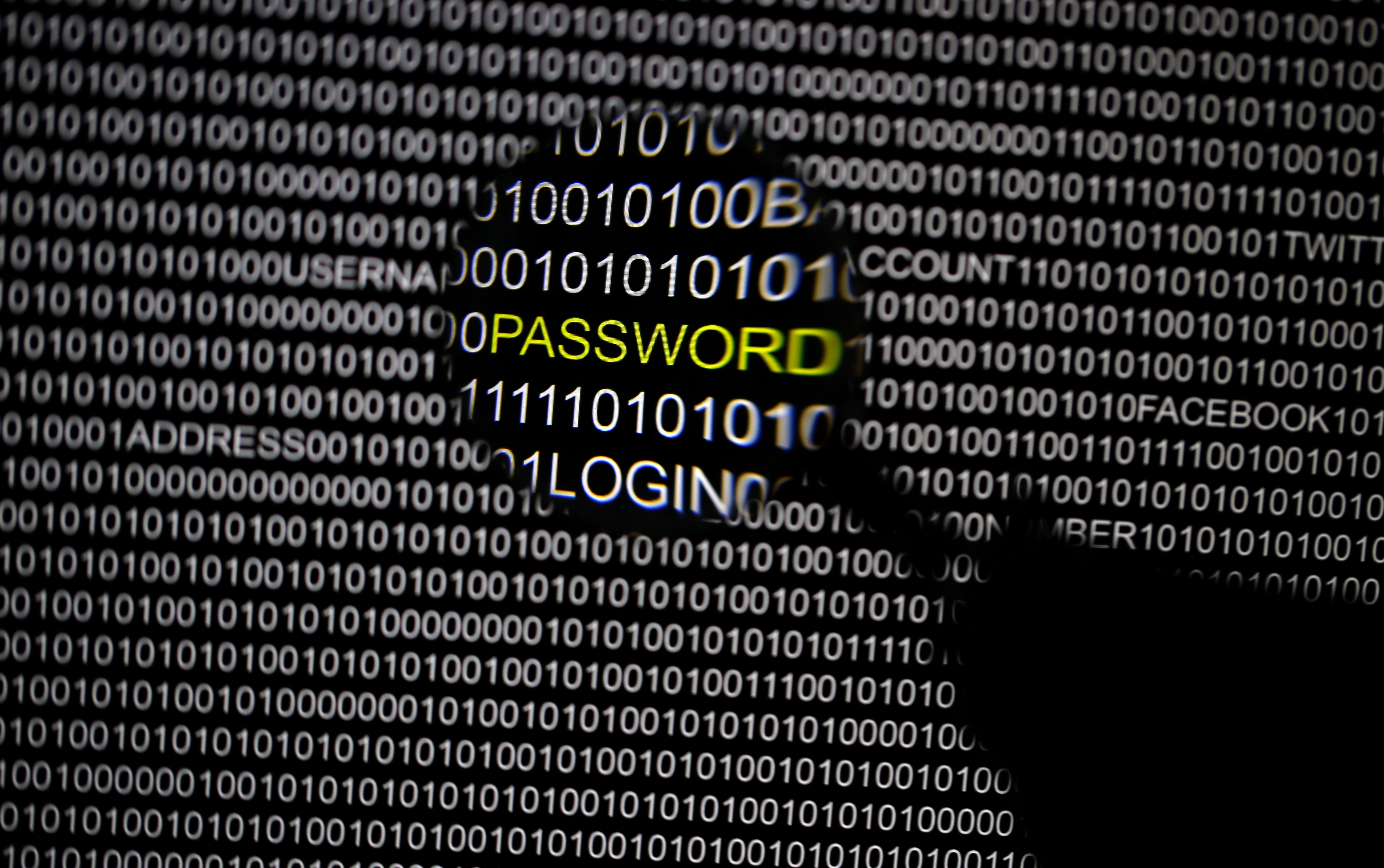 How Saving a Computer Virus Can Keep Us Safe Online