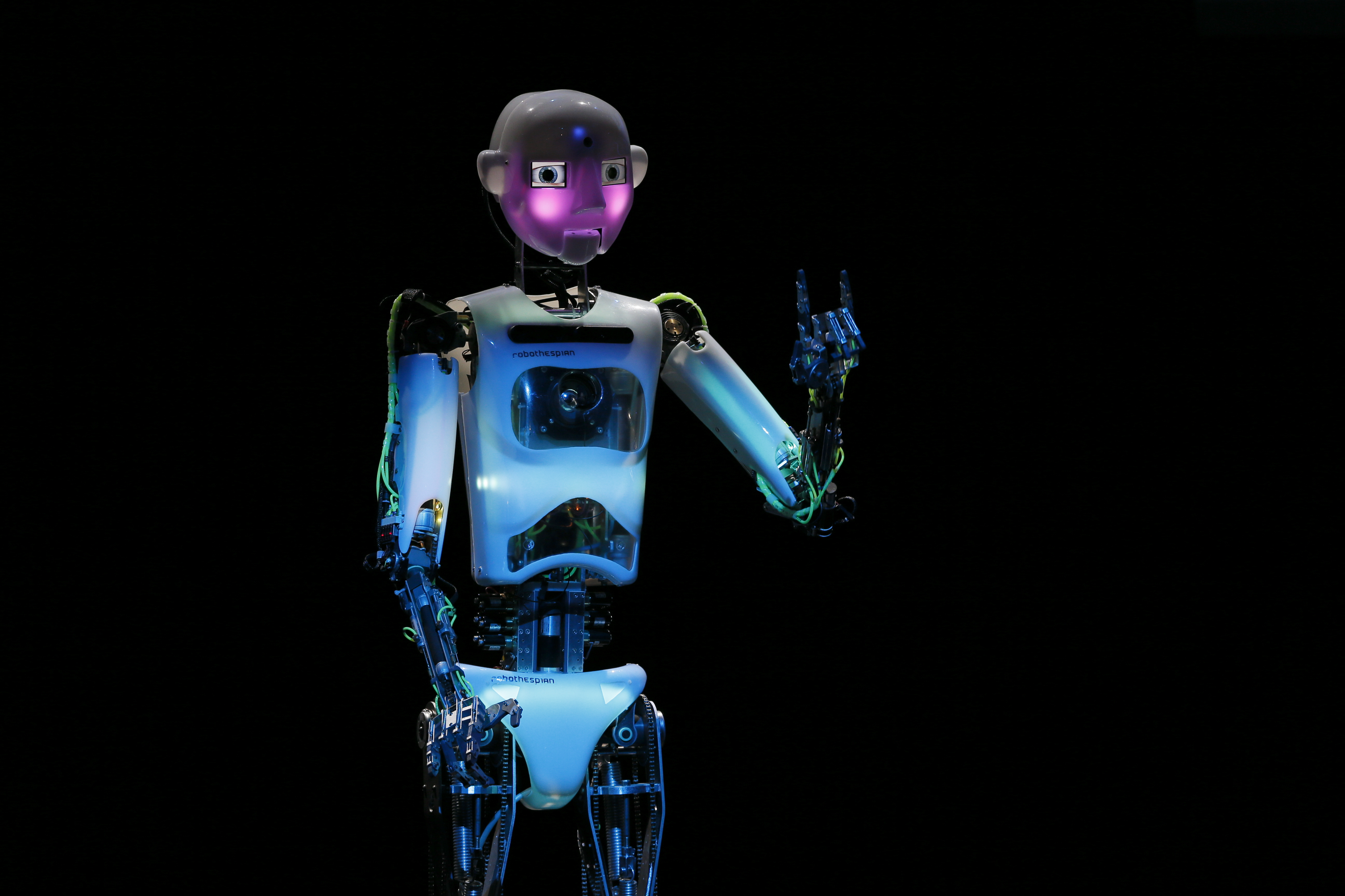 The Truth About Robots and Your Job