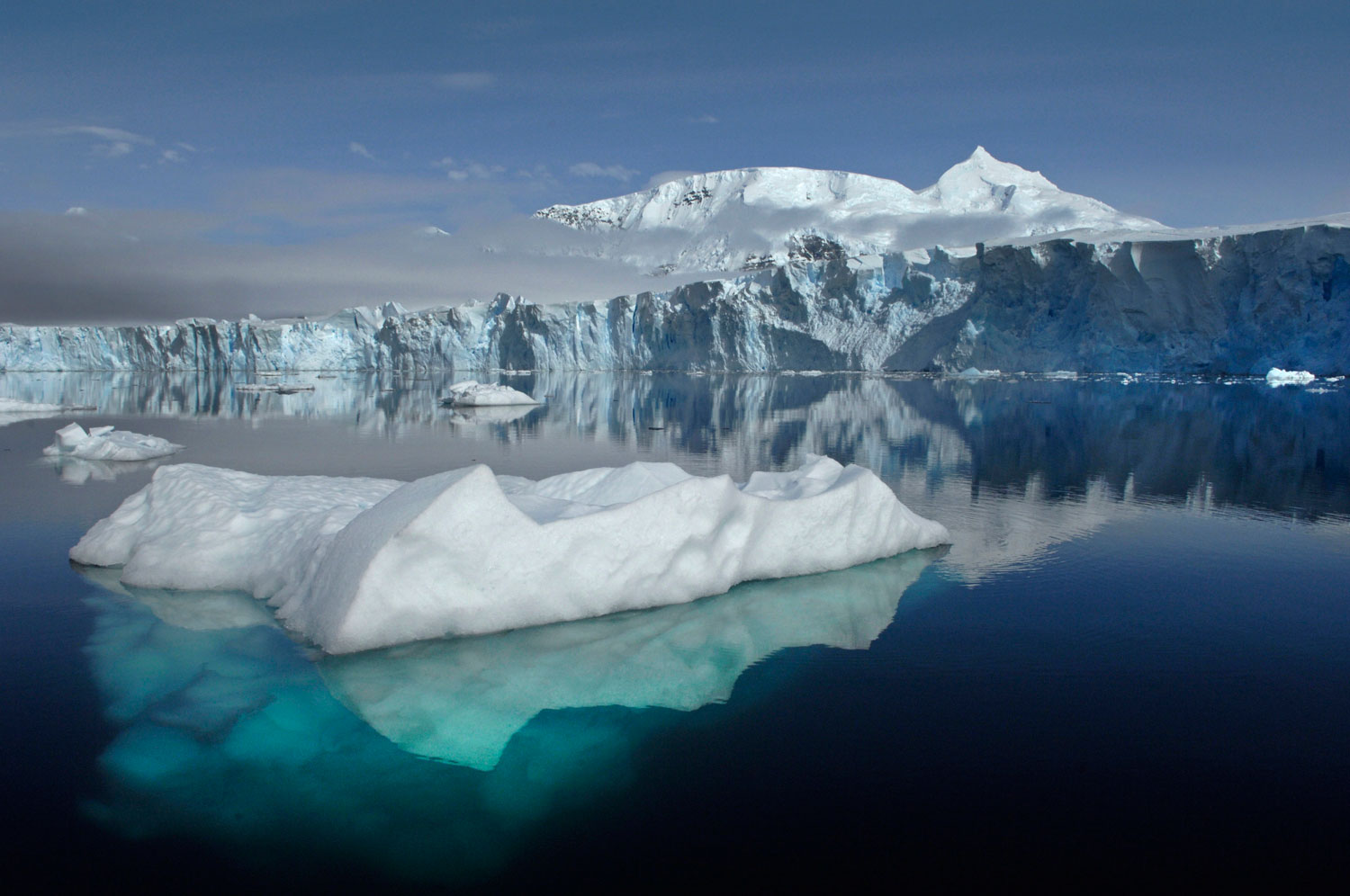 The Climate Change Crisis Trump Refuses to Acknowledge