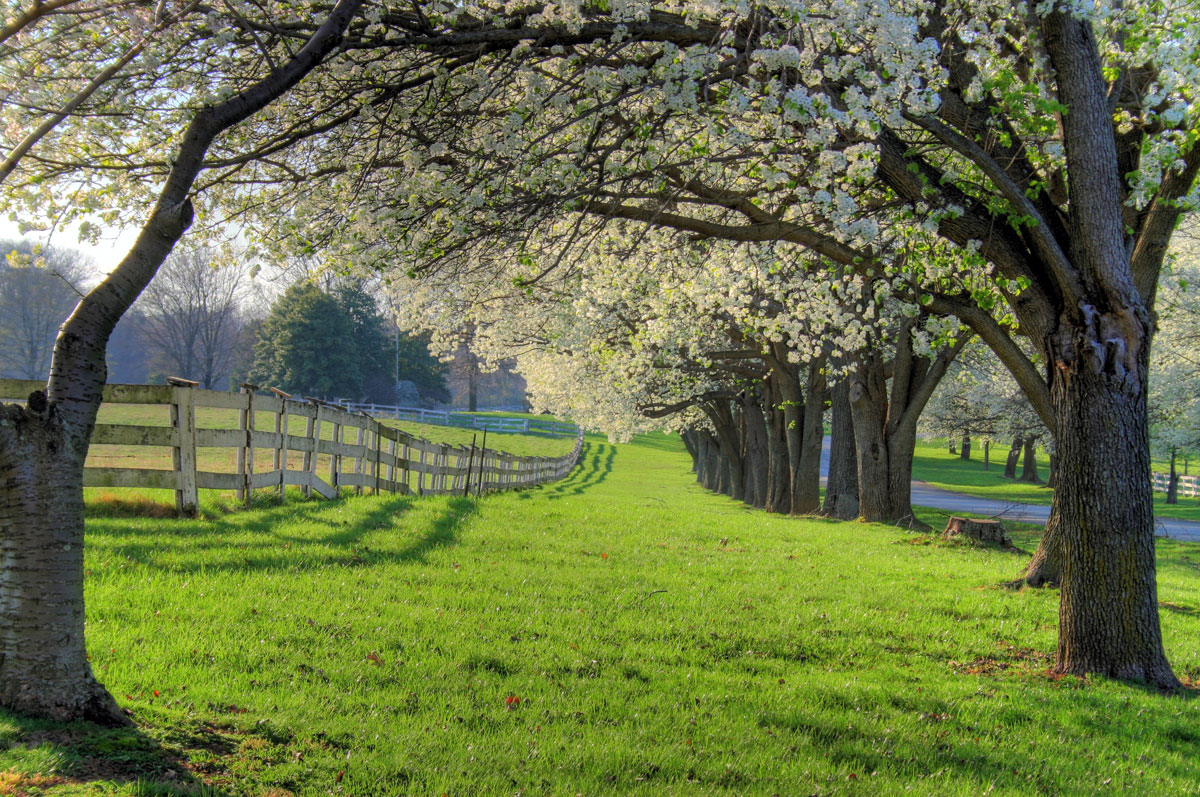 34. Maryland