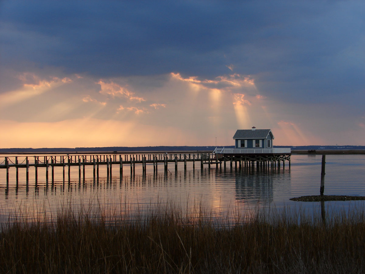 33. Virginia