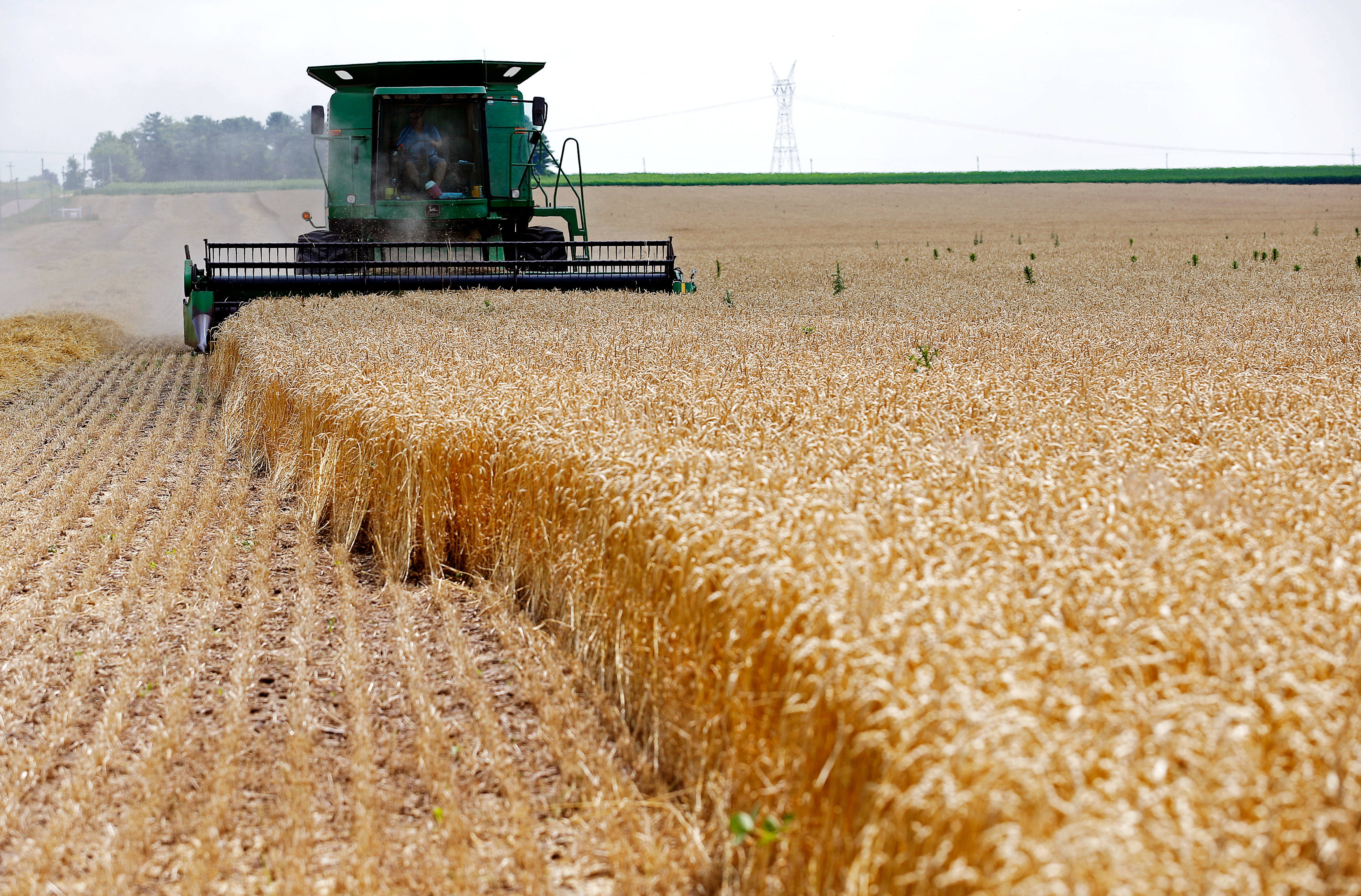 About 90% of Trump Counties Have Received Trade War Farm Aid