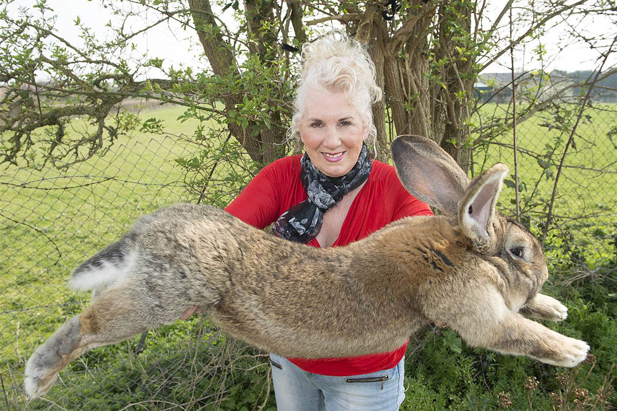 Simon the Rabbit Croaks