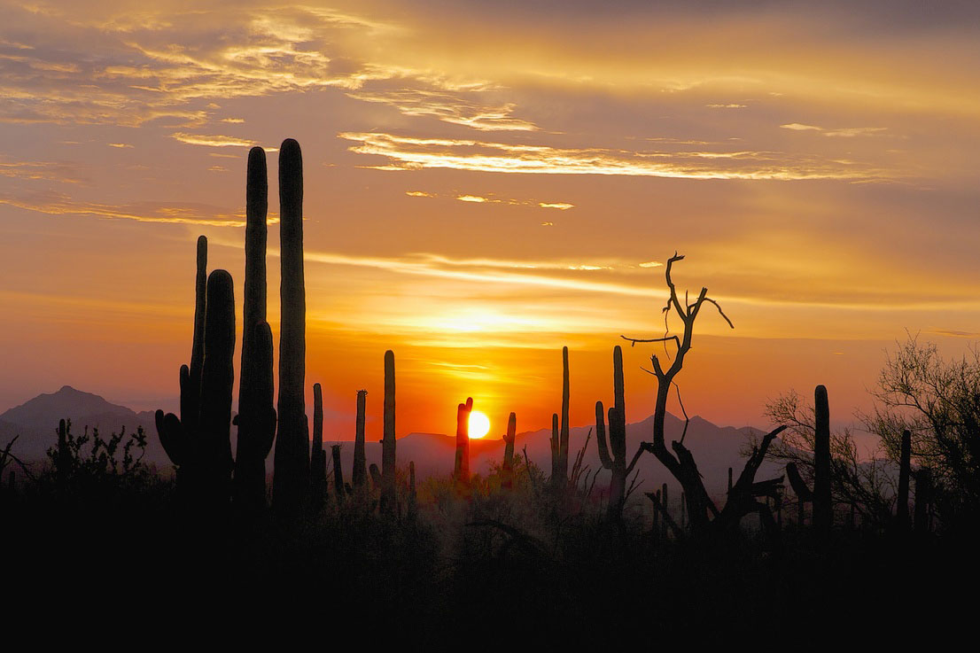 18. Arizona