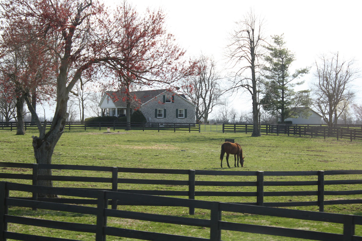 5. Kentucky