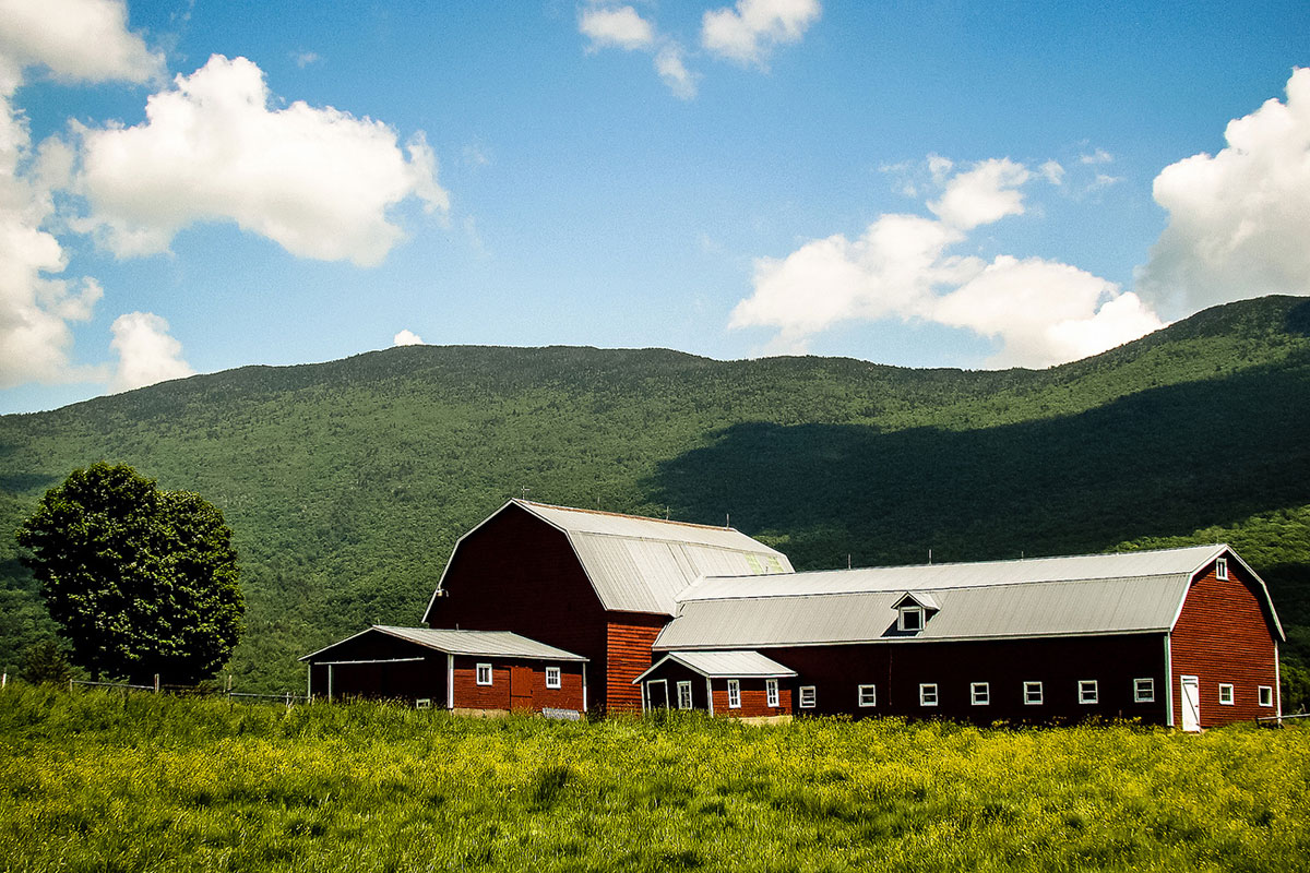46. Vermont