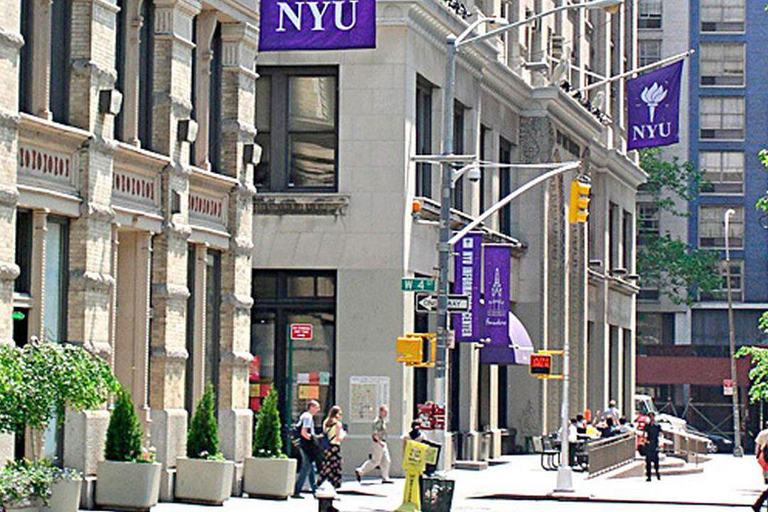 7. New York University