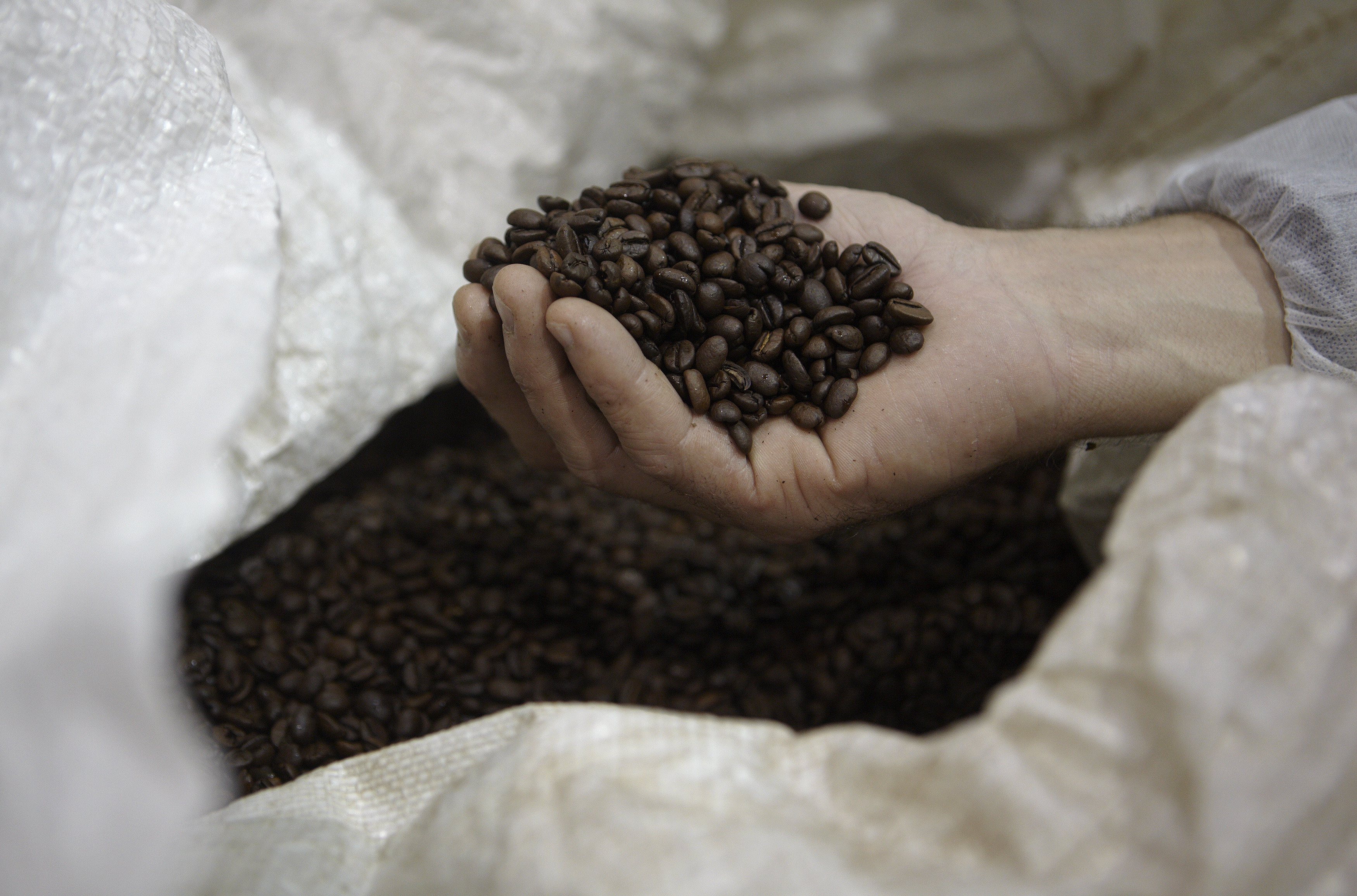 5 Amazing Things You Must Know About Coffee