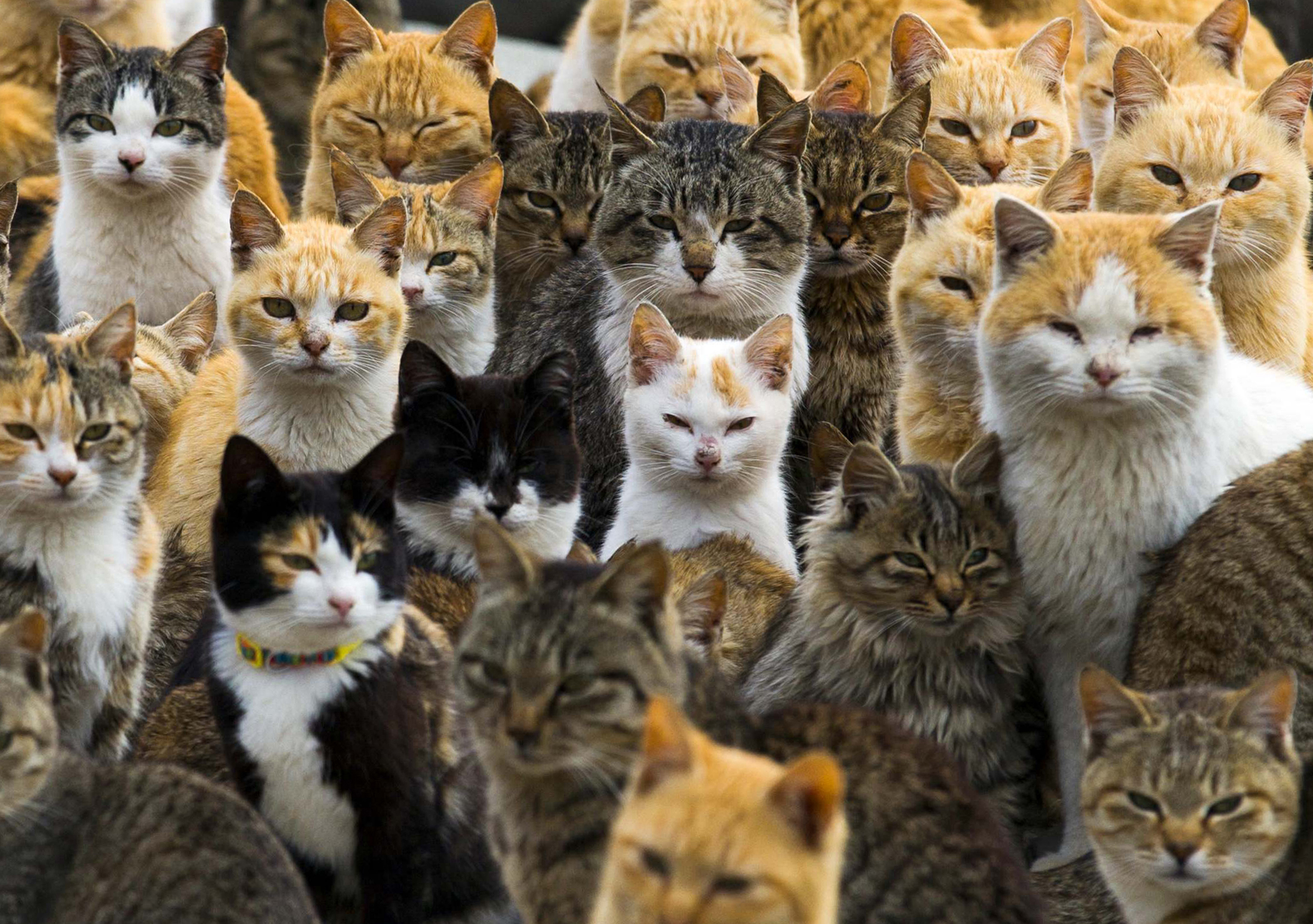 These Amazing Photos of 2015 Tell Stories All Their Own