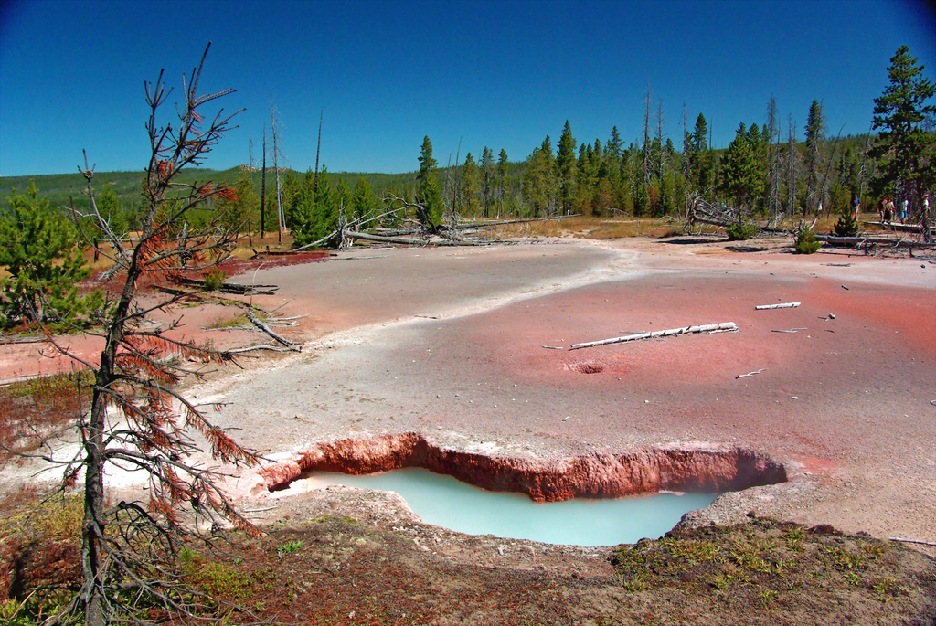 Here’s Why Our National Parks Are Billions of Dollars in the Hole