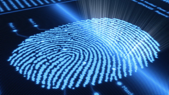 Coming Soon to Your Credit Card: Fingerprint Scanning
