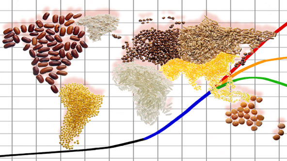 Want World Peace? Try Super-Smart Farming