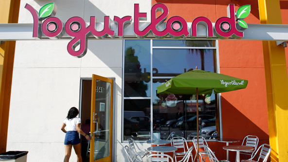 Franchising's Fresh Promise, Despite Financial Risks