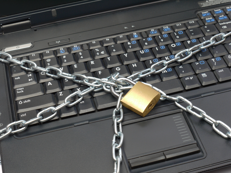 How to Squish the Heartbleed Bug and Keep Your Info Safe