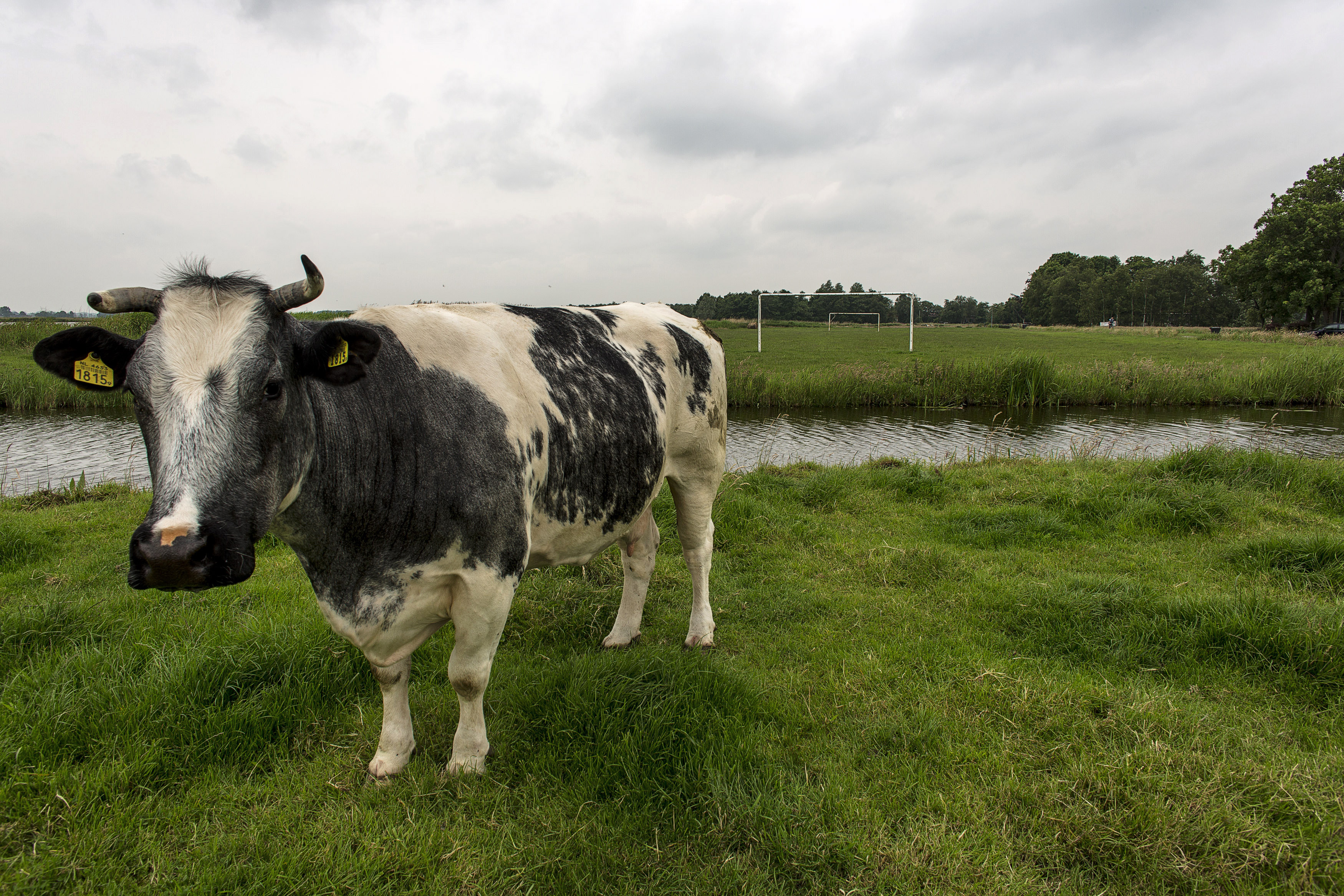Congress’ Big Spending Bill Covers Bullets, Cow Farts, and Chinese Chickens