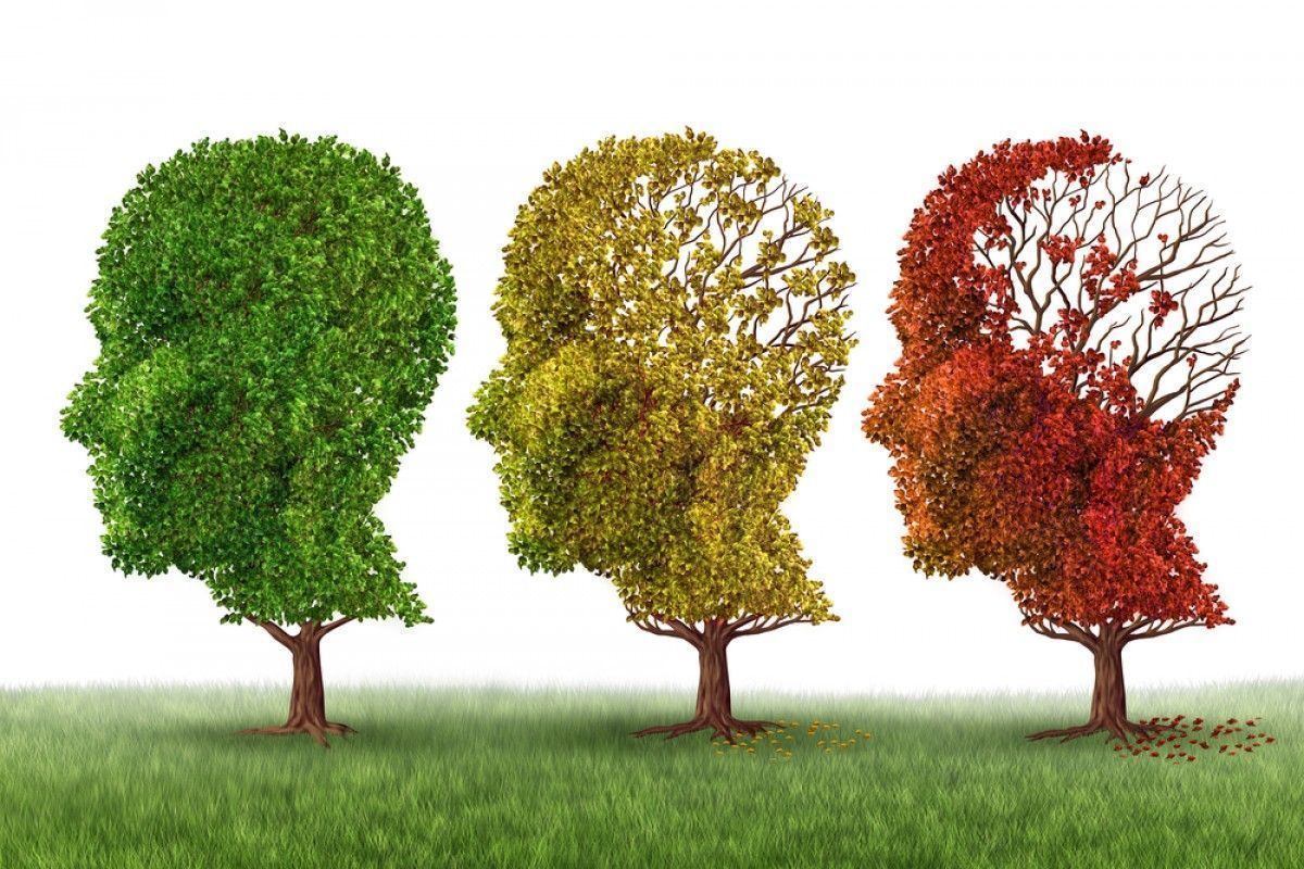 Going High-Tech in the Battle Against Alzheimer’s