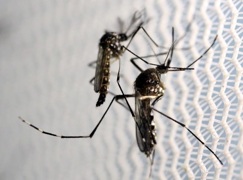 Congress Doesn’t Seem to Care About Zika and Neither Do Most Americans