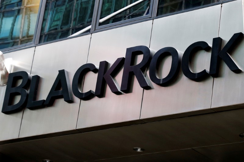 BlackRock CEO Warns of a Retirement Crisis