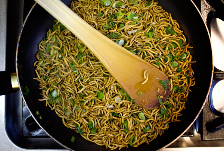 Mealworms, grasshoppers, and crickets could be great sources of protein. The United Nations Food and Agriculture Organization held a meeting in Rome earlier this year to assess the potential of insects as food. The question for Americans: Can we overcome