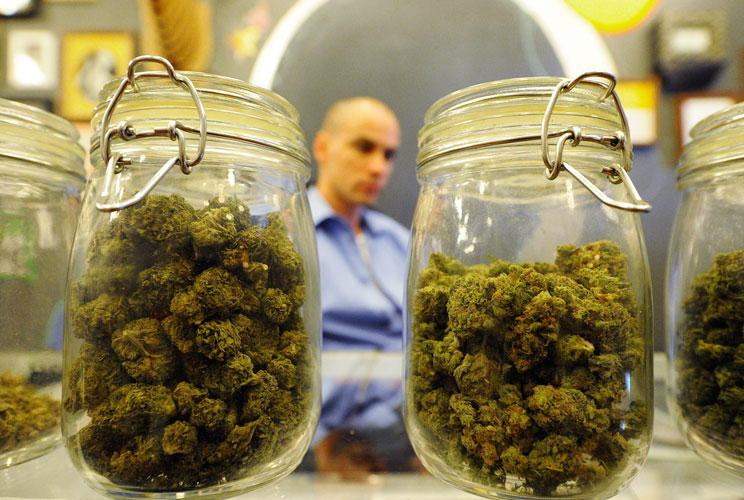Pot for Tots: Israel Gives Medical Marijuana to Kids